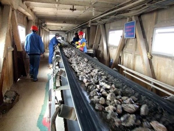 Kömür Madenciliği İçin Isıya Dayanıklı Düz ​​Kauçuk Bantlı Konveyör 130 - 320 T / H